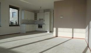 Appartement - Luzernevlinder - Utrecht