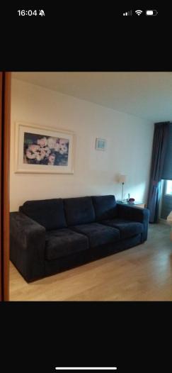 Kamer - Meerkoet - Diemen