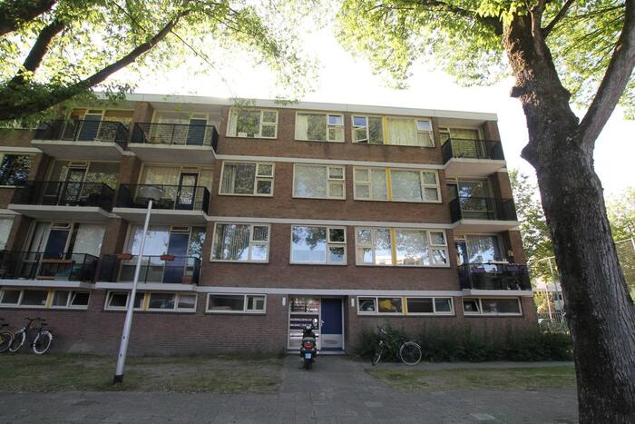 Appartement - Muiderslotstraat - Tilburg