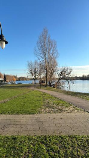 Appartement - Chabotlaan - Rotterdam