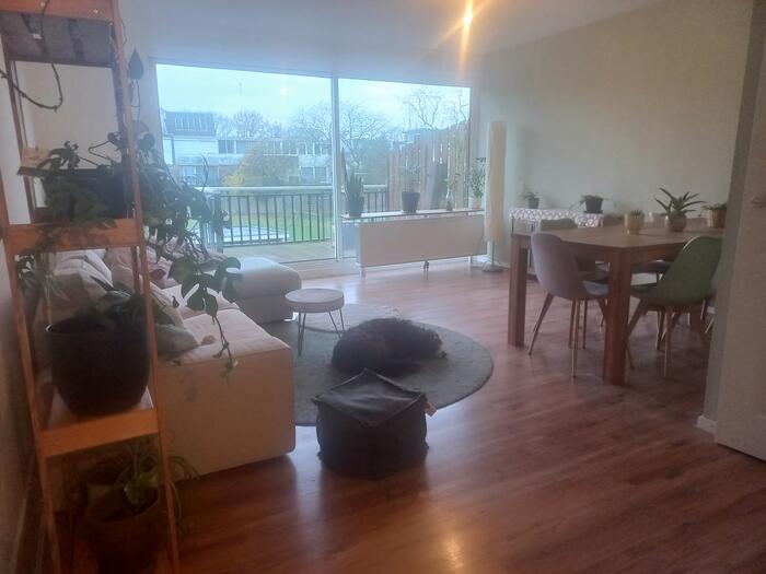 Appartement - Varenstraat - Soest