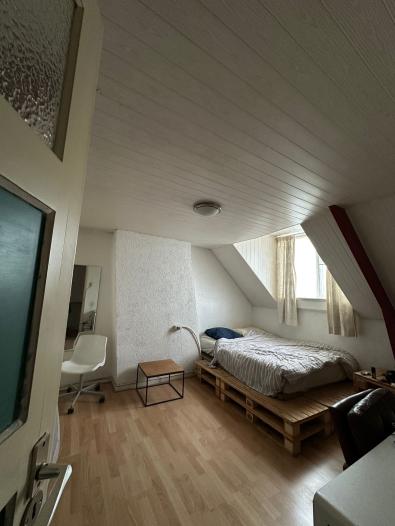 Kamer - Professor Kernkampstraat - Tilburg