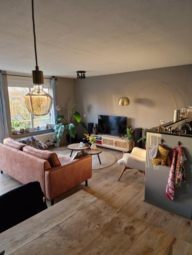 Appartement - Louise Wentstraat - Amsterdam