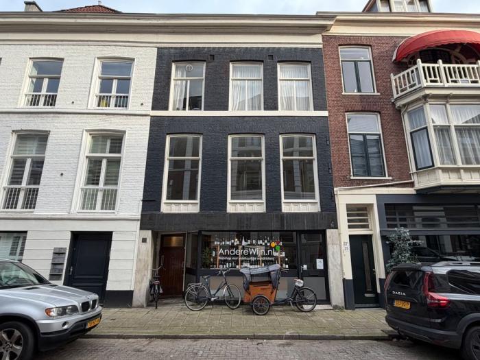 Appartement - Anna Paulownastraat - 's-Gravenhage