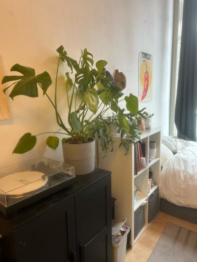 Kamer - Voorstraat - Delft