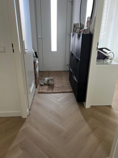 Appartement - P.C. Boutensstraat - Haarlem