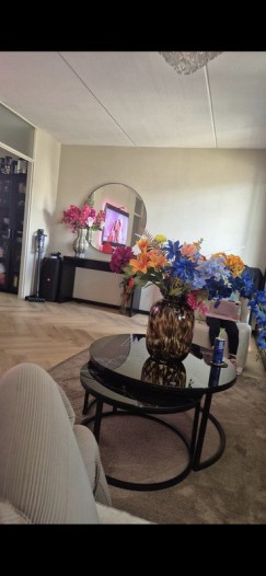 Appartement - Boeninlaan - Amsterdam