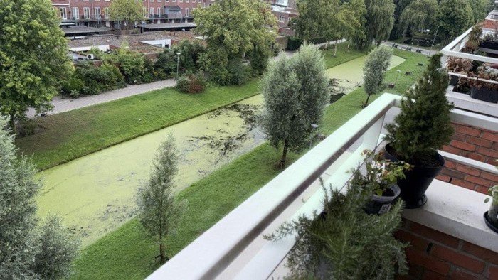 Appartement - Burghsluissingel - Rotterdam