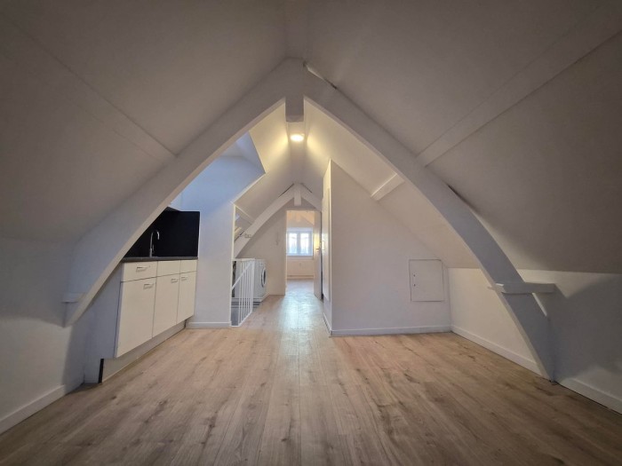 Appartement - 1e De Riemerstraat - 's-Gravenhage