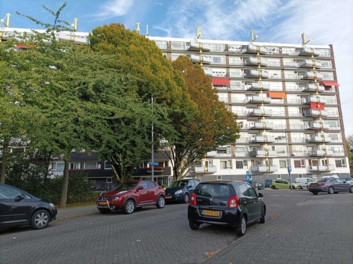 Appartement - Oosterse tuin - Rotterdam