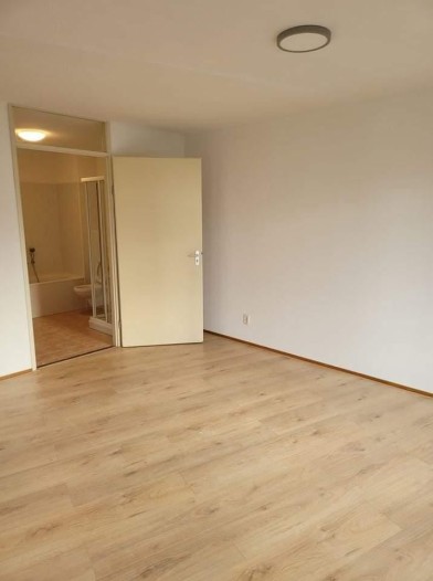 Appartement - Saenredamstraat - Eindhoven
