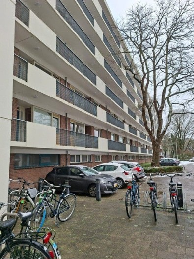 Kamer - Professor Cobbenhagenlaan - Tilburg