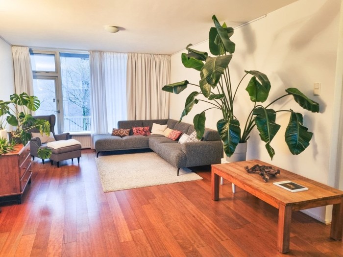 Appartement - Dirk Schäferstraat - Amsterdam