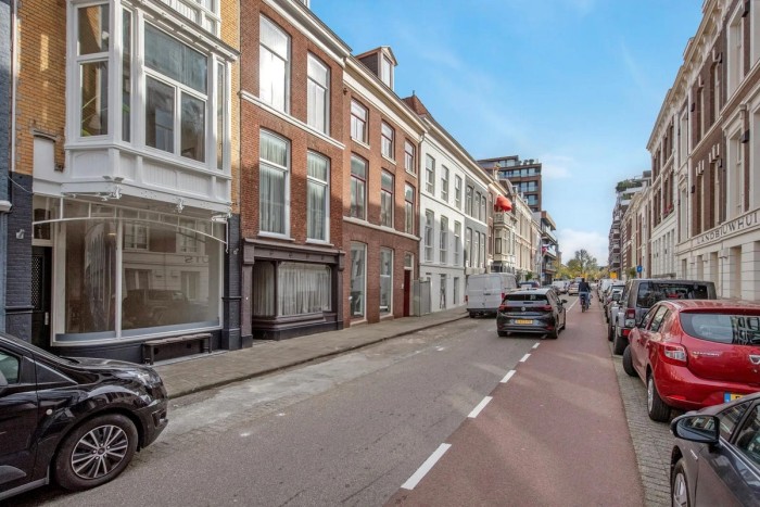 Appartement - Anna Paulownastraat - 's-Gravenhage