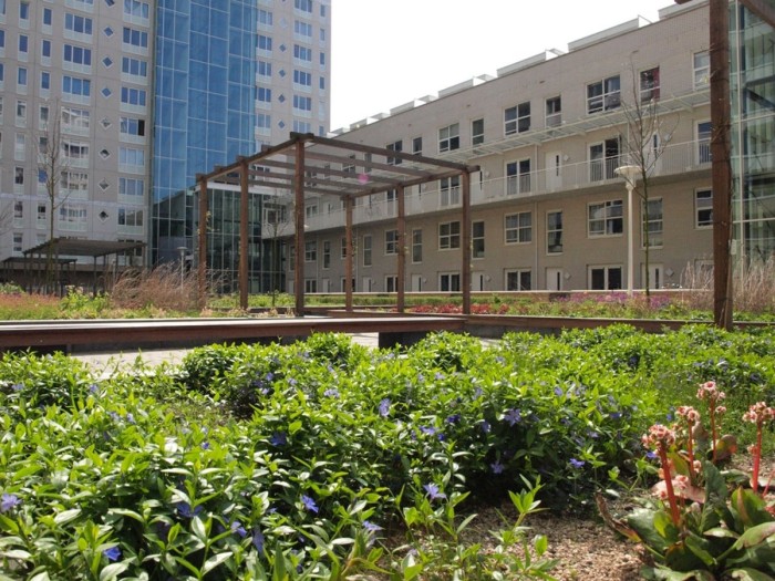 Appartement - Koningin Wilhelminaplein - Amsterdam