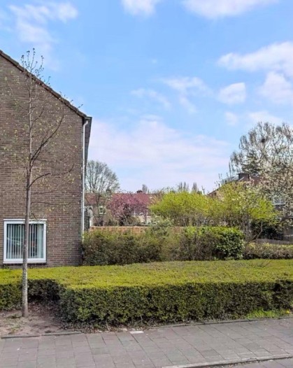 Appartement - Burgemeester Fockstraat - Amsterdam