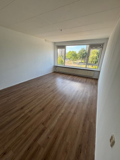 Appartement - Nieuwlandplein - Schiedam