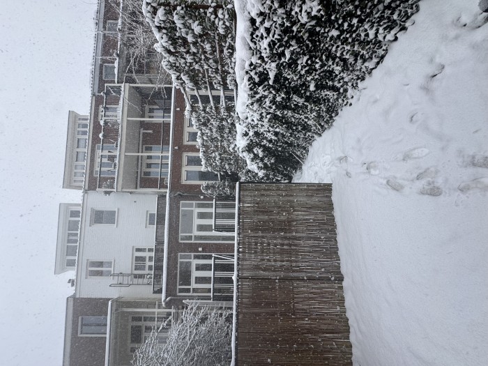 Appartement - Wittevrouwensingel - Utrecht