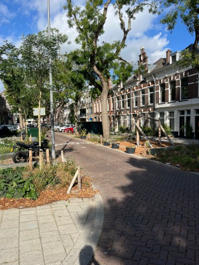 Kamer - Blommersdijkselaan - Rotterdam