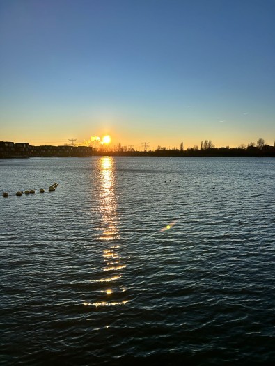Kamer - Edmond Halleylaan - Amsterdam