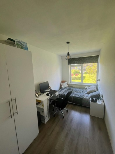 Appartement - Ruigoord - Rotterdam