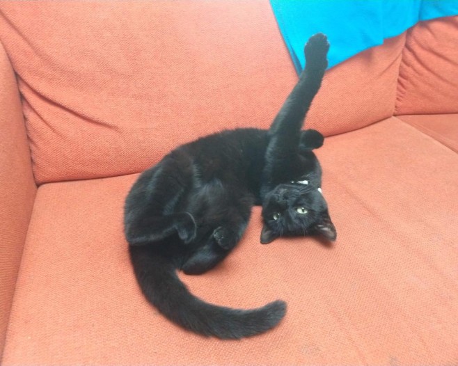 Kamer - Matenweg - Enschede