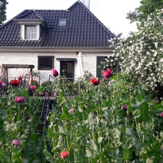 Kamer - Apollolaan - Enschede