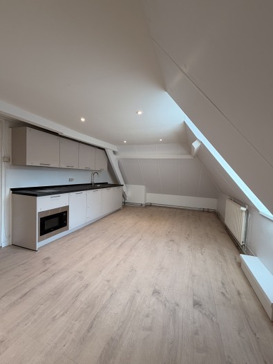 Kamer - van Trieststraat - Nijmegen