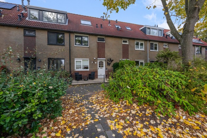 Huis - Nieuwendamstraat - Zaandam