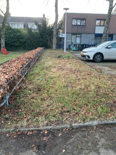 Kamer - Pijnboomstraat - Nijmegen