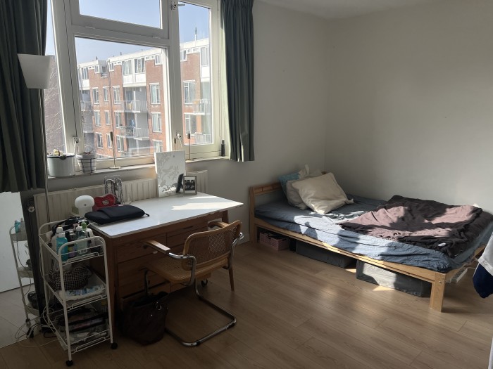 Kamer - Pontanusstraat - Amsterdam