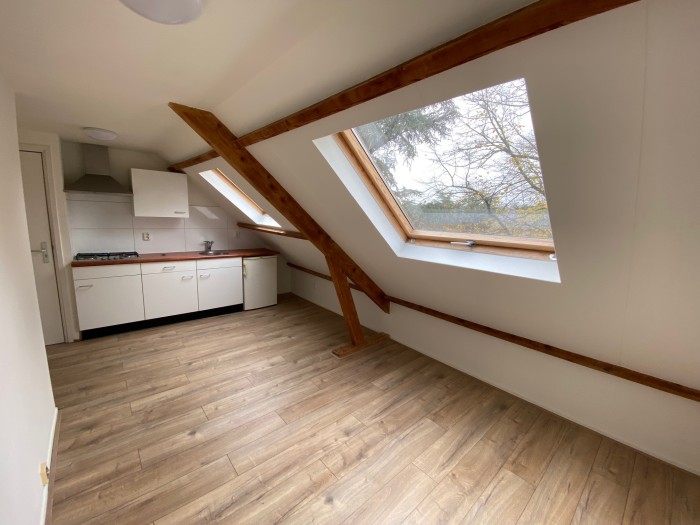 Kamer - Troelstralaan - Groningen