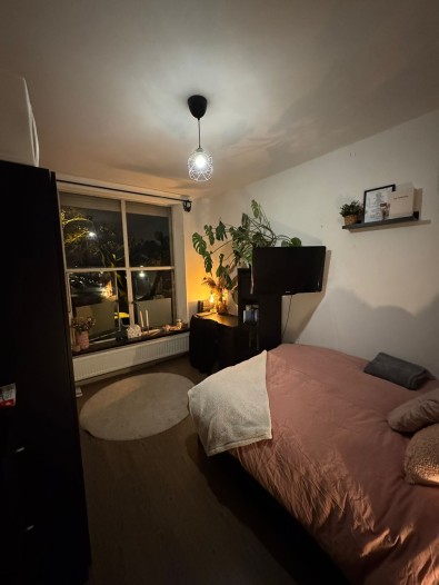 Kamer - Paul Krügerlaan - Eindhoven