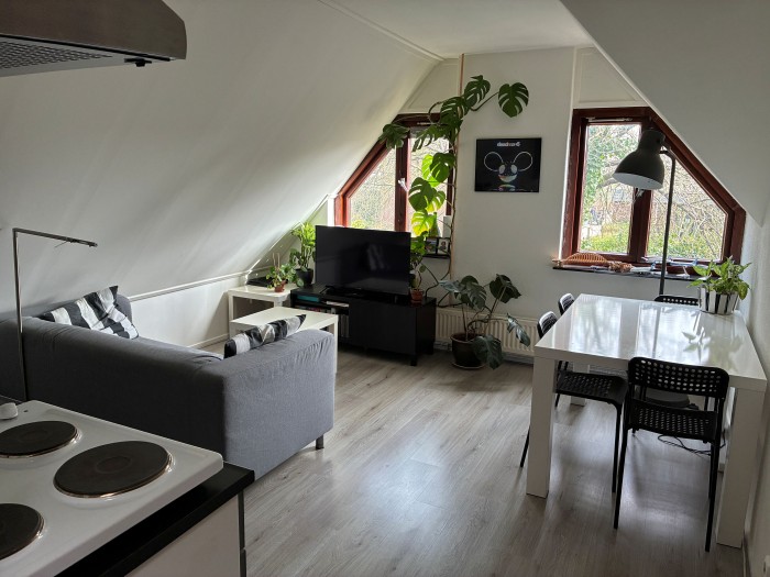 Appartement - Nieuwe Mollenhutseweg - Nijmegen