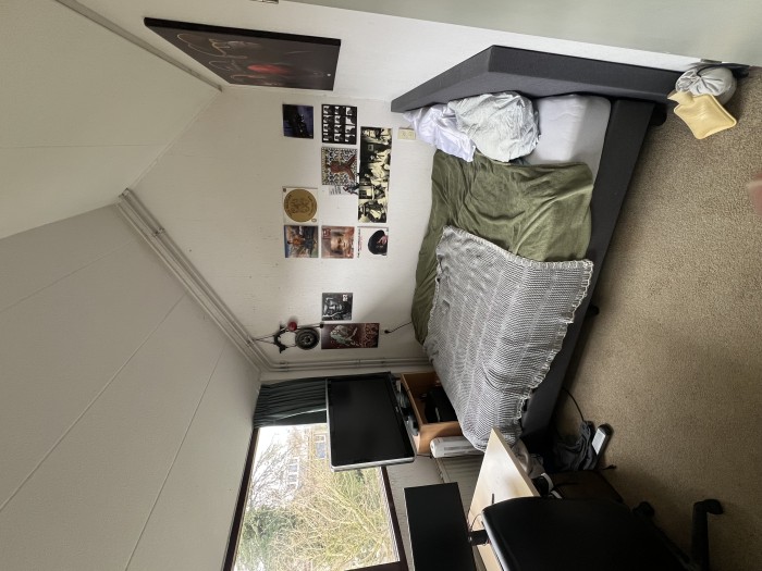 Kamer - Iepentakvlinder - Leiden