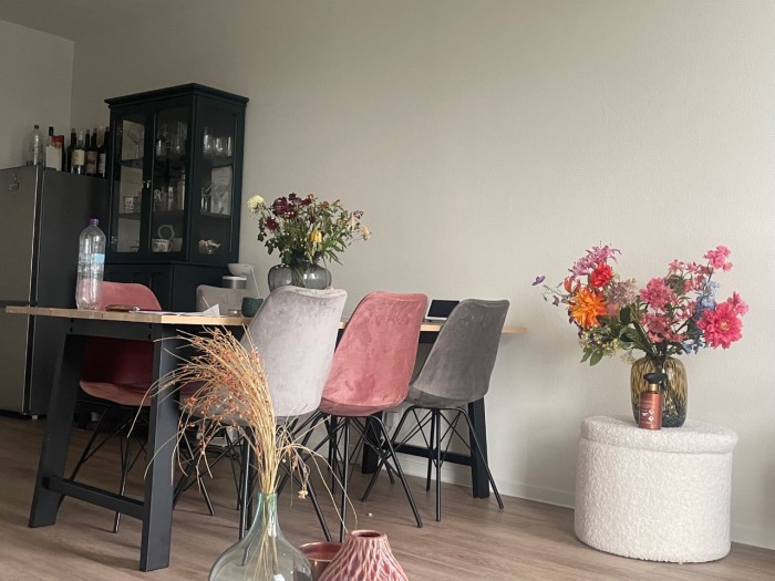 Appartement - Beneluxlaan - Utrecht