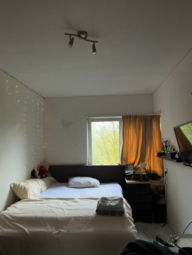 Kamer - Groenhoven - Amsterdam