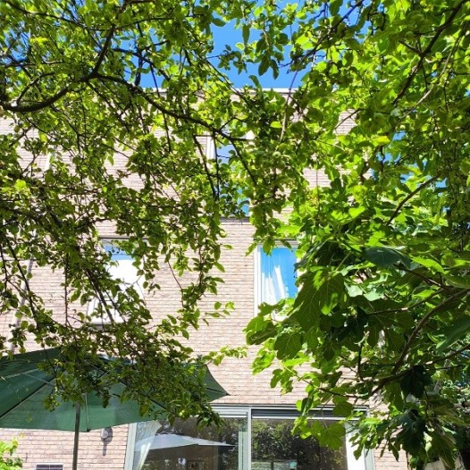 Kamer - Veldruskade - Vleuten