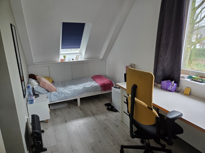 Kamer - Asterdkraag - Breda