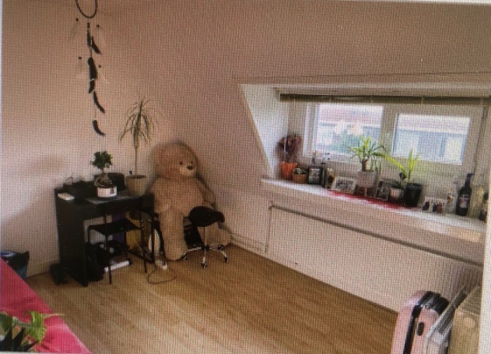 Kamer - Goeverneurlaan - 's-Gravenhage