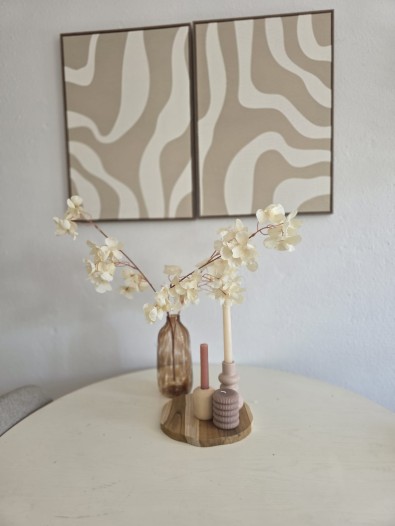 Kamer - Potgieterstraat - Utrecht