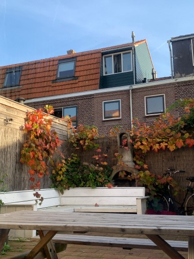 Kamer - Ruivenstraat - Delft