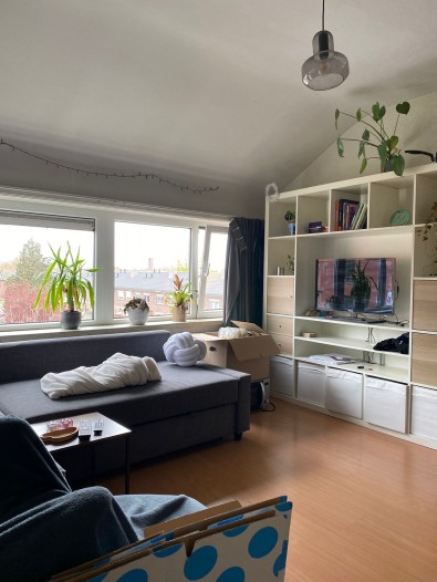 Kamer - Floralaan West - Eindhoven