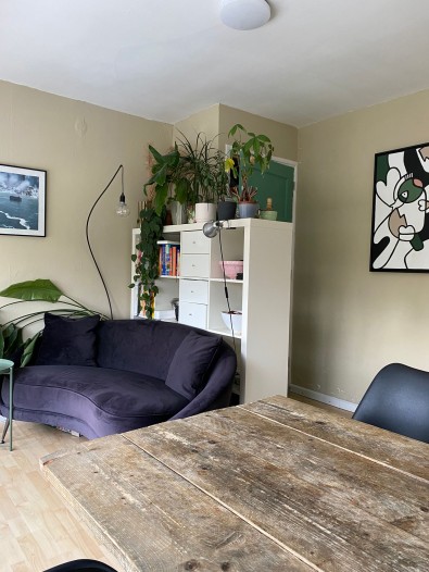 Kamer - Floralaan West - Eindhoven