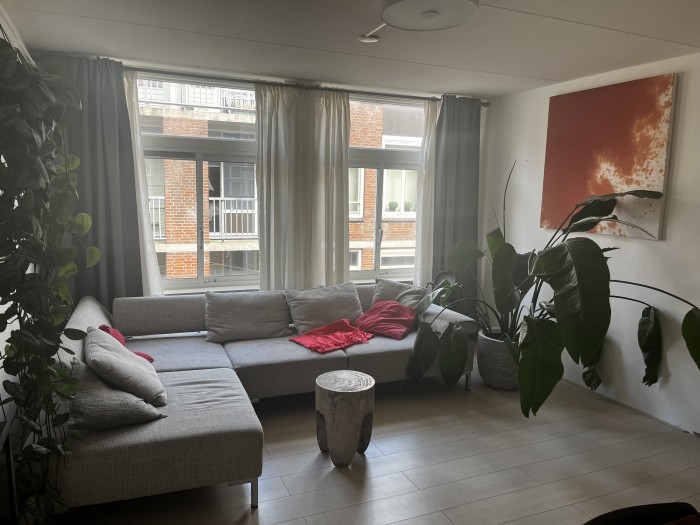 Appartement - Egelantiersstraat - Amsterdam
