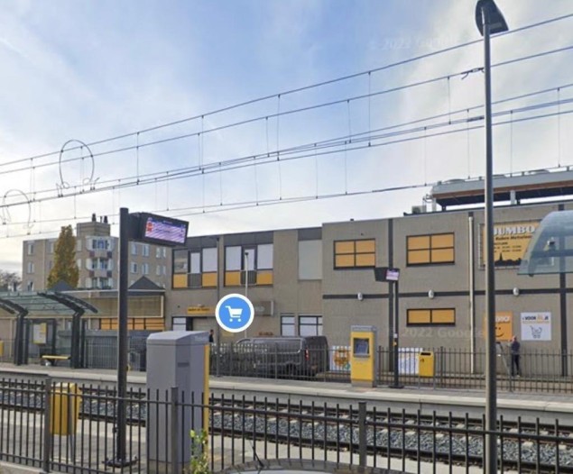 Kamer - Goudplevier - IJsselstein