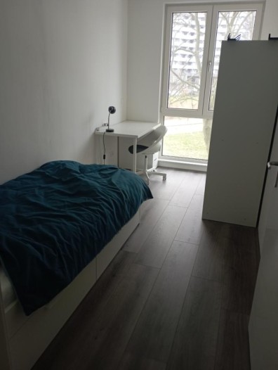 Kamer - Daalwijk - Amsterdam