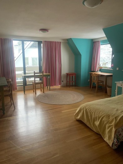 Kamer - Douglaslaan - Bosch en Duin