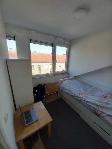Kamer - Madeliefstraat - Rotterdam