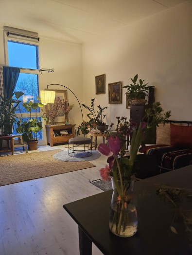 Kamer - Bijlmerdreef - Amsterdam
